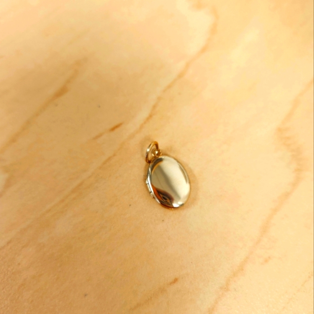 NWT Catbird dollhouse locket